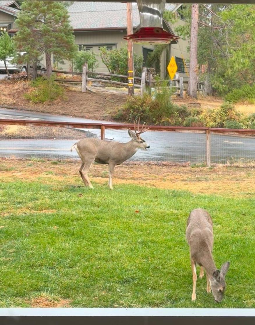 Hébergement de vacances Yosemite Gateway, Beautiful Neighborhood, Family-pet Friendly Mariposa